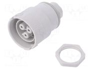 Connector: AC supply; push-in; female; 16A; 250V; ways: 3; IP66,IP68 AAG STUCCHI