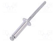 Rivet; aluminium; Rivet diam: 4.8mm; L.rivet: 19mm; 50pcs. VOREL