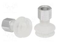 Suction cup; 22mm; G1/8" IG; Shore hardness: 55; 1.4cm3; FSGA SCHMALZ