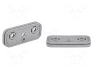 Suction-plate for vacuum block; 120x50x15.5mm SCHMALZ