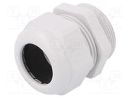 Cable gland; PG29; IP68; polyamide; light grey; UL94V-0; HSK-K HUMMEL