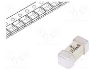 Fuse: fuse; ultra rapid; 250mA; 125VAC; 125V; 125VDC; SMD; ceramic LITTELFUSE