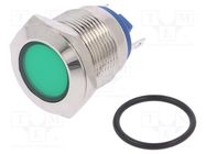 Indicator: LED; flat; green; 24VDC; 24VAC; Ø19mm; brass; Body: silver 