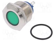 Indicator: LED; flat; green; 24VDC; 24VAC; Ø22mm; brass; Body: silver 