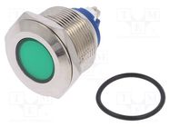 Indicator: LED; flat; green; 24VDC; 24VAC; Ø22mm; screw; brass 