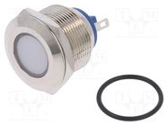 Indicator: LED; flat; white; 24VDC; 24VAC; Ø22mm; brass; Body: silver NINIGI