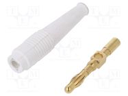 Connector: 4mm banana; plug; 32A; white; non-insulated; 2.5mm2 STÄUBLI