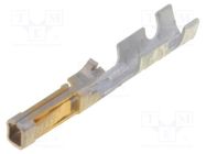 Contact; female; gold-plated; 24AWG÷22AWG; SL; cut from reel MOLEX