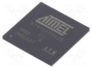 IC: ARM microprocessor; ARM926; 0.9÷1.1VDC; SMD; LFBGA217; PWM: 4 MICROCHIP TECHNOLOGY