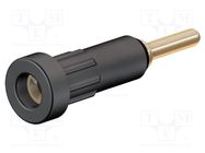 Connector: 2mm banana; socket; 10A; Overall len: 24.5mm; black STÄUBLI