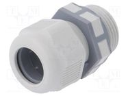 Cable gland; PG13,5; IP68; polyamide; grey; UL94V-2 TECHNO