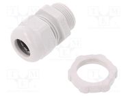 Cable gland; PG16; IP68; polyamide; light grey; V-TEC PG OBO BETTERMANN