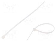 Cable tie; L: 200mm; W: 2.5mm; natural; polyamide; 78N; Ømax: 50mm TIE10