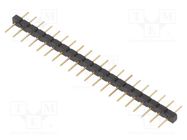 Connector: pin strips; pin header; male; PIN: 20; straight; 2.54mm FISCHER ELEKTRONIK