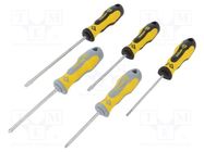 Kit: screwdrivers; Phillips,slot; 5pcs. C.K