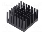 Heatsink: extruded; grilled; BGA; black; L: 31mm; W: 31mm; H: 19.5mm Advanced Thermal Solutions