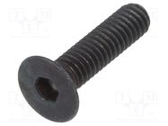 Screw; M2.5x10; 0.45; Head: countersunk; hex key; HEX 1,5mm; steel BOSSARD