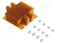 Heatsink: extruded; grilled; BGA; golden; L: 58mm; W: 61mm; H: 22.9mm Advanced Thermal Solutions