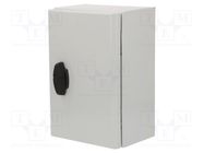 Enclosure: wall mounting; X: 200mm; Y: 300mm; Z: 150mm; S3DEX; steel 