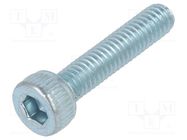 Screw; M2.5x12; 0.45; Head: cheese head; hex key; HEX 2mm; steel BOSSARD