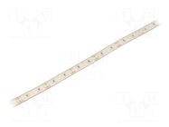 LED tape; white neutral; LED/m: 168; 10mm; IP68; 120°; 17W/m; 24VDC FOSE