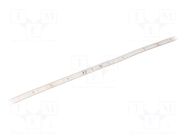 LED tape; white neutral; LED/m: 56; 10mm; IP68; 120°; 6W/m; 24VDC FOSE