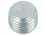 Hexagon head screw plug; without micro encapsulation; DIN 906 ELESA+GANTER