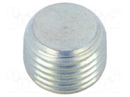 Hexagon head screw plug; without micro encapsulation; steel ELESA+GANTER