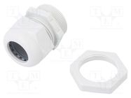 Cable gland; M32; 1.5; IP68; polyamide; light grey; V-TEC VM OBO BETTERMANN