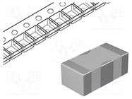 Filter: anti-interference; SMD; 0603; 500mA; 16VDC; ±20%; 100pF MURATA