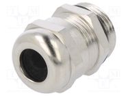 Cable gland; PG11; IP68; brass; Body plating: nickel HUMMEL