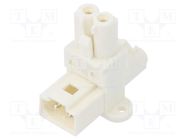 Transition: T adapter; male,female x2; EPN2; 16A; 250VAC; PIN: 2 AAG STUCCHI