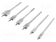 Drill set; high speed steel; case; wood; 6pcs. AVIT