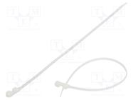 Cable tie; with a hole for screw mounting; L: 300mm; W: 4.8mm FIX&FASTEN