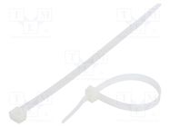 Cable tie; L: 200mm; W: 7.6mm; polyamide; 533N; natural; Ømax: 50mm FIX&FASTEN