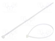 Cable tie; L: 380mm; W: 7.6mm; polyamide; 667N; natural; Ømax: 102mm FIX&FASTEN