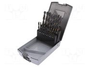 Drill set; for metal; high speed steel; plastic cassette; metal ALPEN-MAYKESTAG