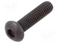 Screw; M2.5x10; 0.45; Head: button; hex key; HEX 1,5mm; steel BOSSARD