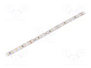 LED tape; white neutral; LED/m: 112; 8mm; IP20; 120°; 12W/m; 24VDC FOSE