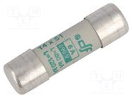 Fuse: fuse; aM; 6A; 500VAC; ceramic,cylindrical,industrial DF ELECTRIC