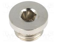 Protection cap; max.100bar; nickel plated brass; Thread: G 1/4" PNEUMAT