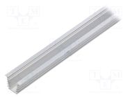 Profiles for LED modules; natural; L: 1m; DEEP10; aluminium TOPMET