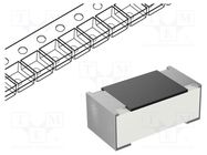 Resistor: thick film; SMD; 01005; 1MΩ; 31.25mW; ±1%; -55÷125°C ROYALOHM