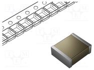 Capacitor: ceramic; MLCC; 22nF; 1kV; C0G (NP0); ±5%; SMD; 2824 KEMET