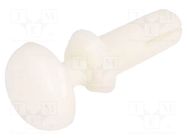 Rivet; polyamide; L.rivet: 4.8mm; white; dismountable,push-in DREMEC