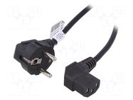 Cable; 3x0.5mm2; PVC; 3m; black; 10A; 250V; Core: CCA AKYGA