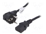 Cable; 3x0.75mm2; PVC; 3m; black; 10A; 250V; Core: CCA AKYGA
