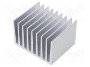 Heatsink: extruded; grilled; natural; L: 50mm; W: 61mm; H: 40mm; raw 