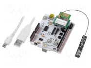 Dev.kit: WiFi; antenna,WIZFI250 module,prototype board WIZNET