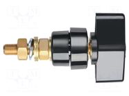 Laboratory clamp; black; 1kVDC; 100A; brass; polycarbonate; 81mm SCHÜTZINGER